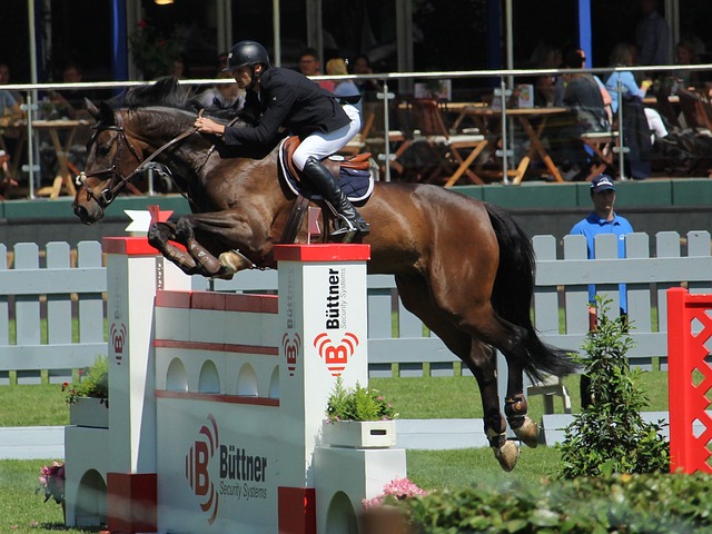 场的经典案 场的经典案