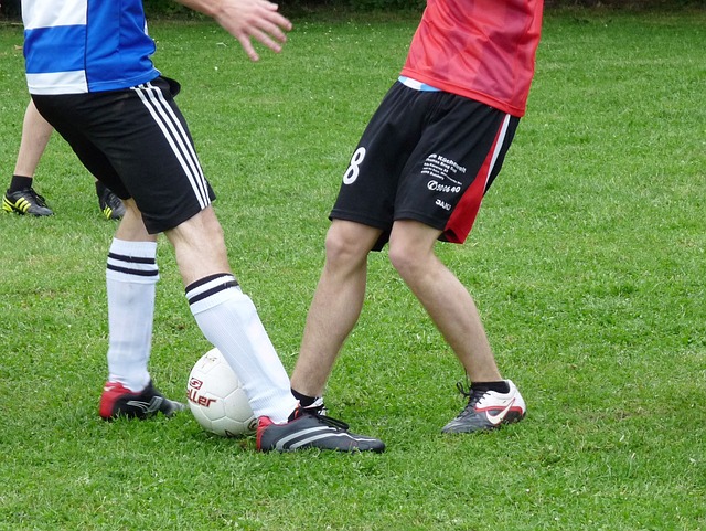 许多宝贵的 许多宝贵的