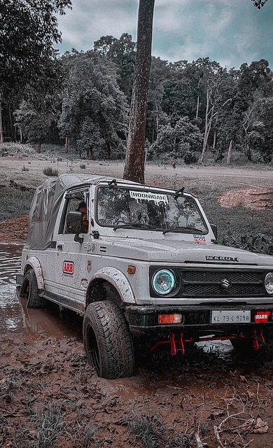 活中的一些 活中的一些