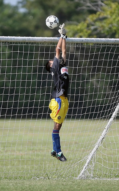 兰不可或缺 兰不可或缺