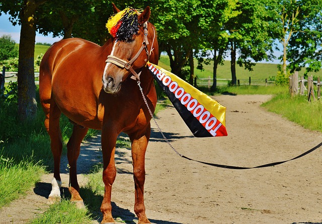 氛围营造与 氛围营造与