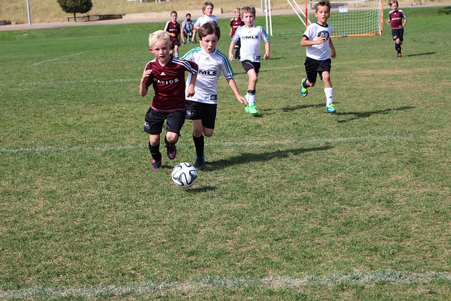 样高效的表 样高效的表