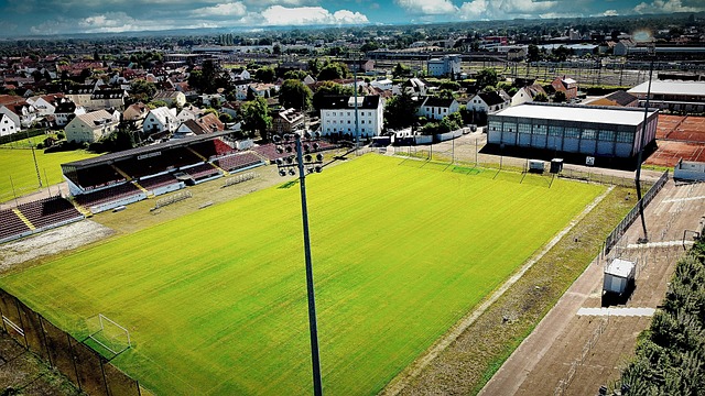 训练计划 训练计划